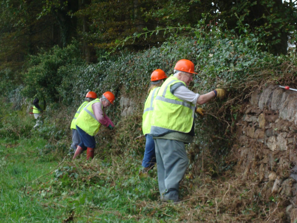 Volunteer clearing