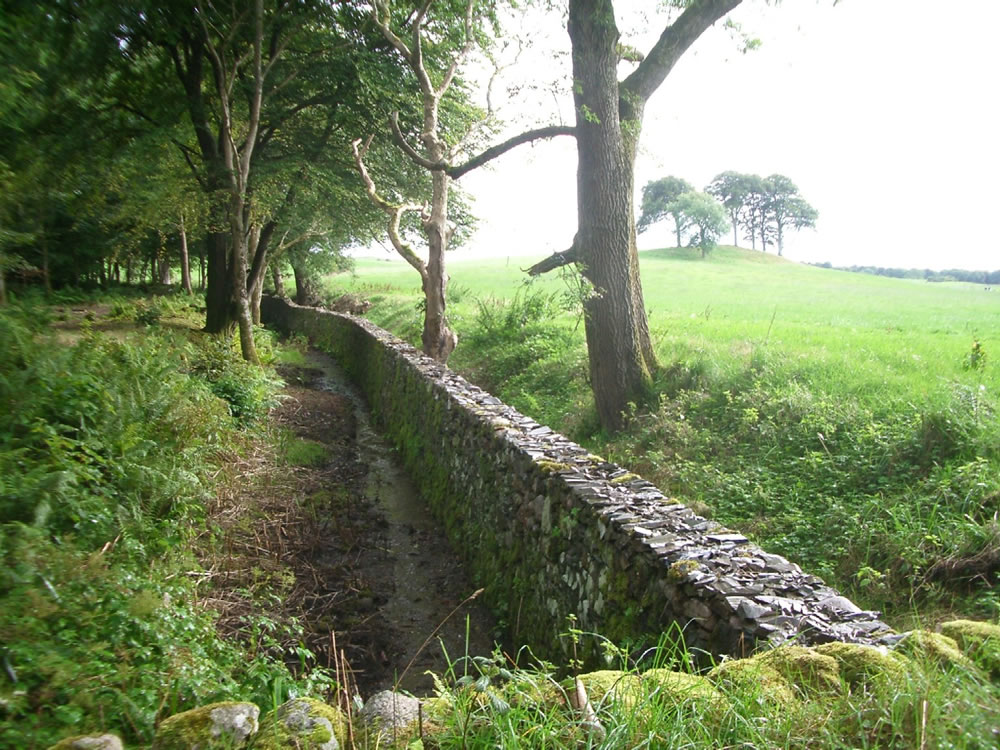 The Sunken Dyke