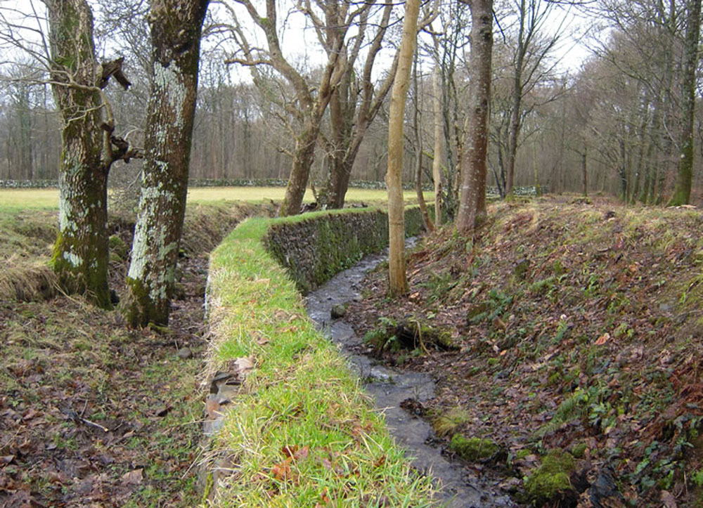 The Sunken Dyke